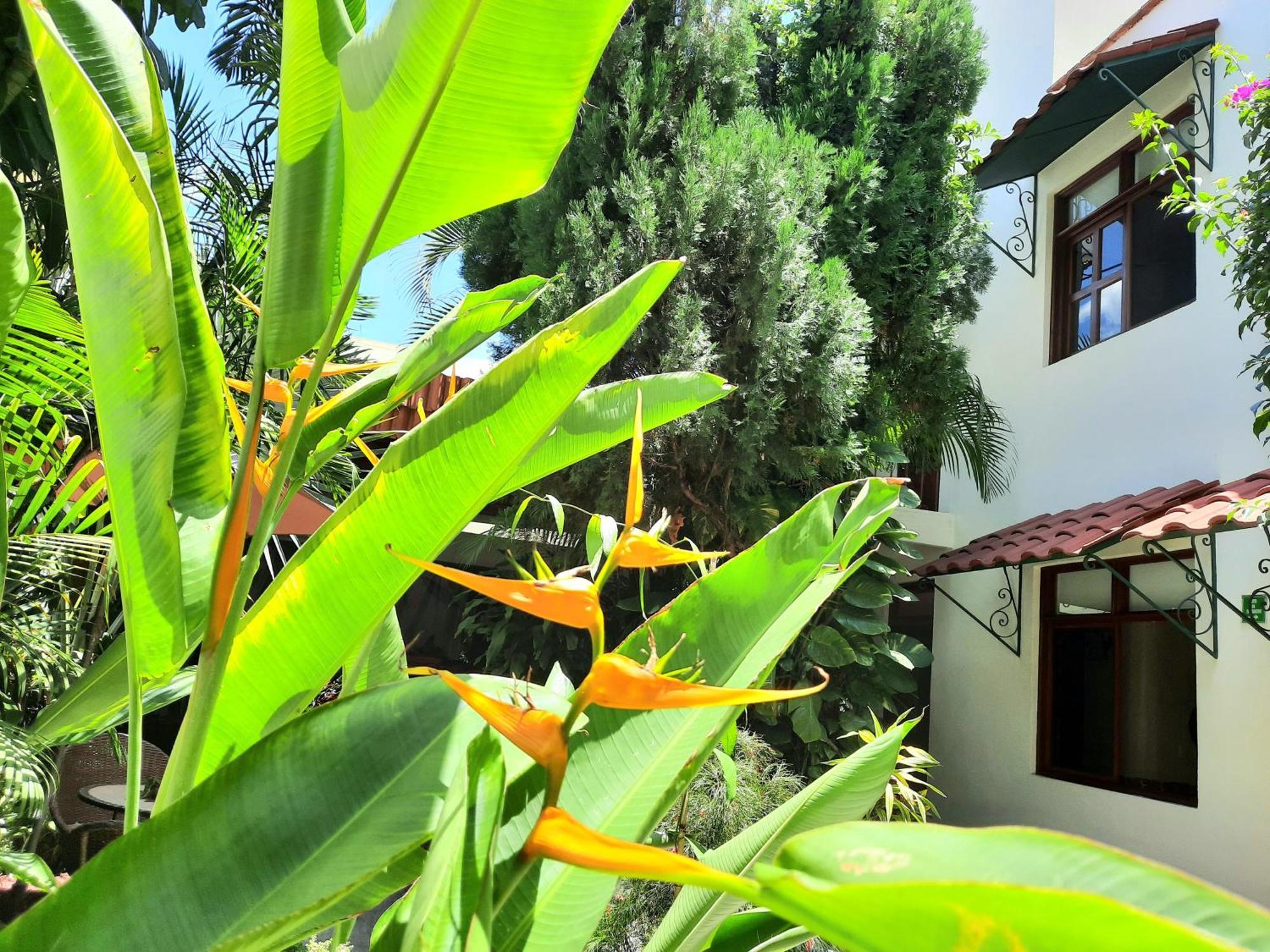 Casa Los Cantaros Hotel Boutique Oaxaca Exterior foto